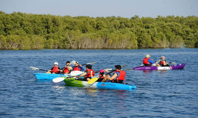 Kayaking Tour Abu Dhabi