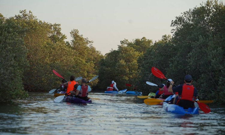 Kayaking Tour Abu Dhabi